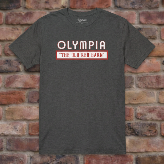 Olympia Stadium Dark Heather Grey T-shirt flat lay on brick background