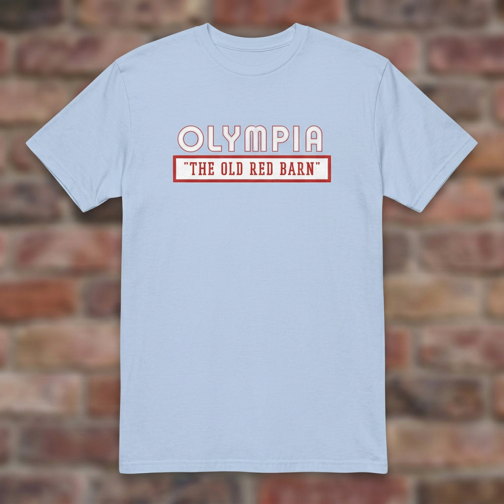 Olympia Stadium Light Blue T-shirt flat lay on brick background