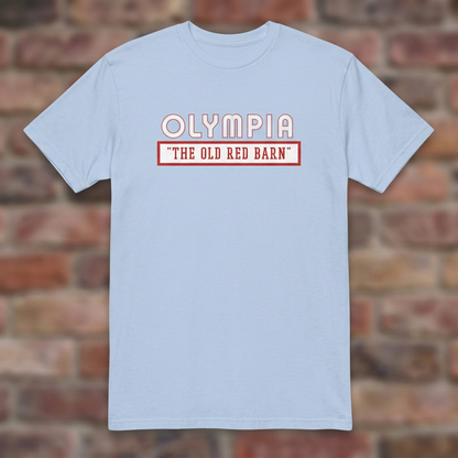 Olympia Stadium Light Blue T-shirt flat lay on brick background
