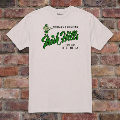 Irish Hills Michigan Ice Grey T-shirt flat lay on brick background