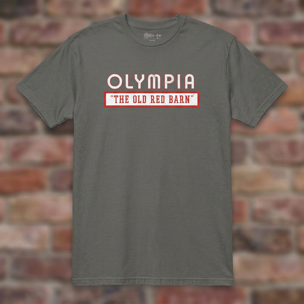 Olympia Stadium Charcoal T-shirt flat lay on brick background