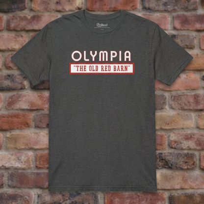Olympia Stadium Dark Heather Grey T-shirt flat lay on brick background