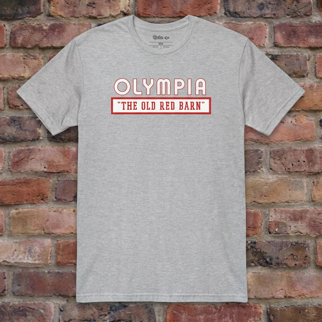 Olympia Stadium Sport Grey T-shirt flat lay on brick background