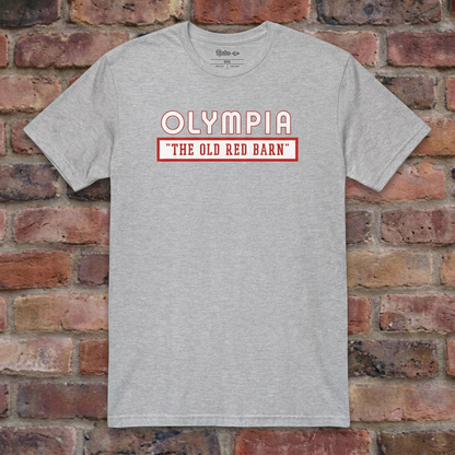 Olympia Stadium Sport Grey T-shirt flat lay on brick background