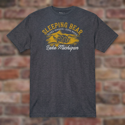 Sleeping Bear Dune Rides Heather Navy T-shirt flat lay on brick background